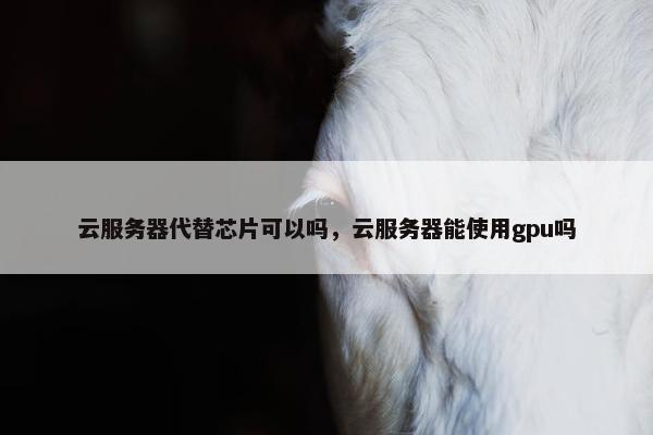 云服务器代替芯片可以吗,云服务器能使用gpu吗 云服务器代替芯片可以吗,云服务器能使用gpu吗