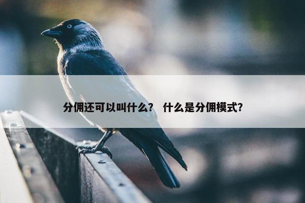 分佣还可以叫什么？ 什么是分佣模式？