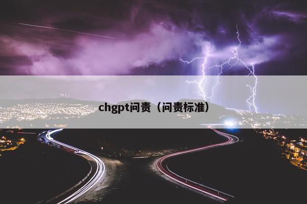 chgpt问责（问责标准）