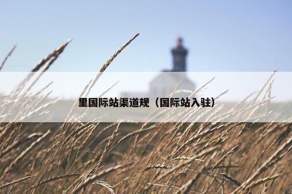 里国际站渠道规（国际站入驻）