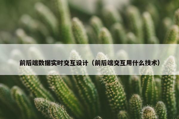 前后端数据实时交互设计（前后端交互用什么技术）