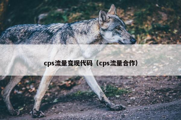 cps流量变现代码（cps流量合作）