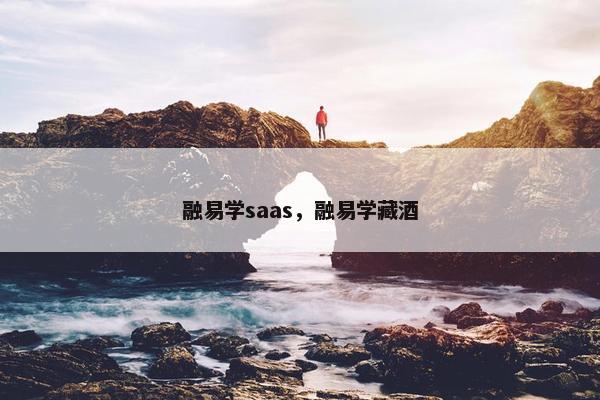 融易学saas，融易学藏酒