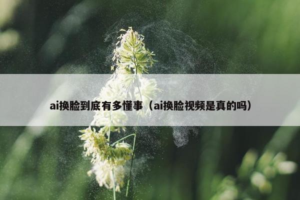 ai换脸到底有多懂事（ai换脸视频是真的吗）
