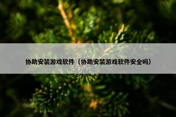 协助安装游戏软件（协助安装游戏软件安全吗）