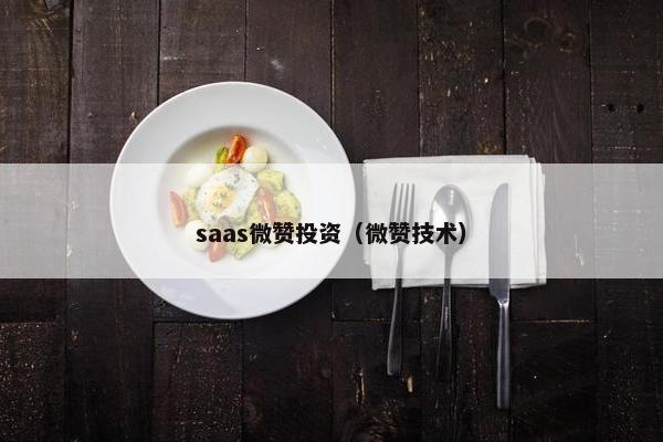 saas微赞投资（微赞技术）