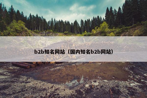 b2b知名网站（国内知名b2b网站）