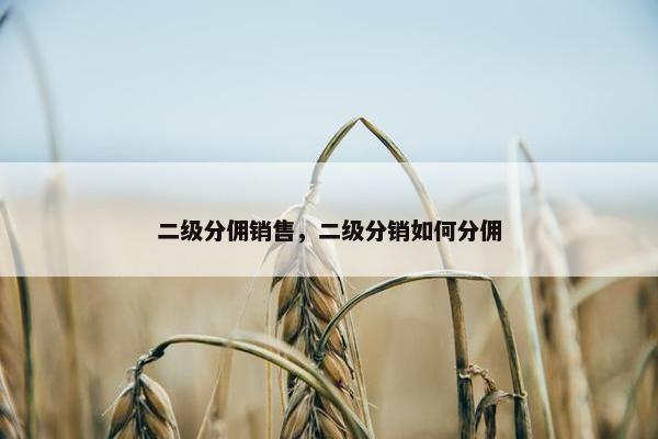 二级分佣销售，二级分销如何分佣