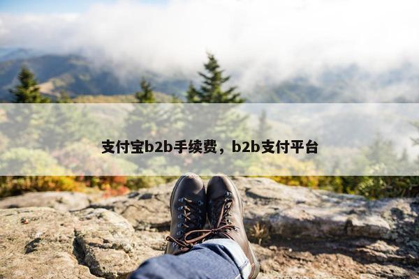 支付宝b2b手续费，b2b支付平台