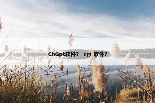 ChGpt软件？ cgi 软件？
