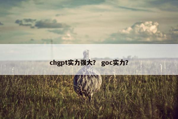 chgpt实力强大？ goc实力？