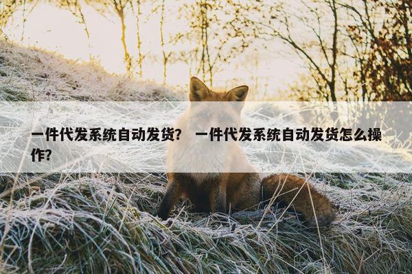 一件代发系统自动发货？ 一件代发系统自动发货怎么操作？