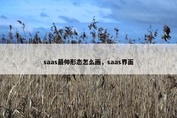saas最帅形态怎么画,saas界面 saas最帅形态怎么画,saas界面