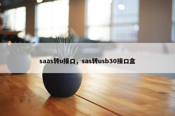saas转u接口，sas转usb30接口盒