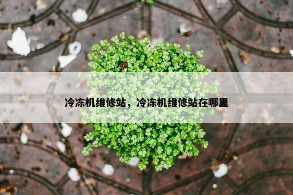 冷冻机维修站，冷冻机维修站在哪里