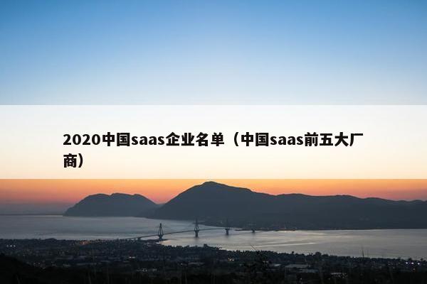 2020中国saas企业名单（中国saas前五大厂商）