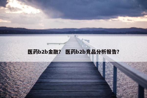 医药b2b金融？ 医药b2b竞品分析报告？