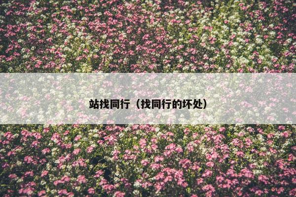 站找同行(找同行的坏处)