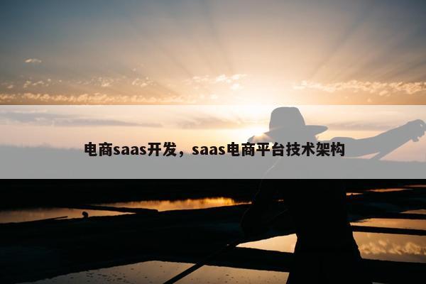 电商saas开发，saas电商平台技术架构