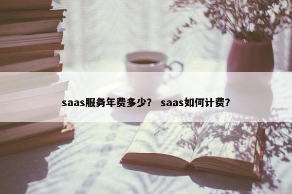 saas服务年费多少？ saas如何计费？