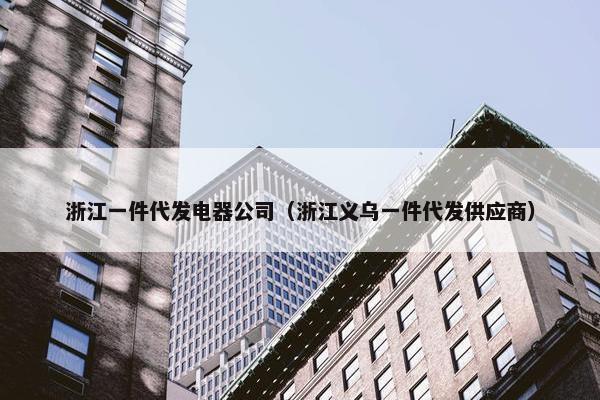 浙江一件代发电器公司（浙江义乌一件代发供应商）