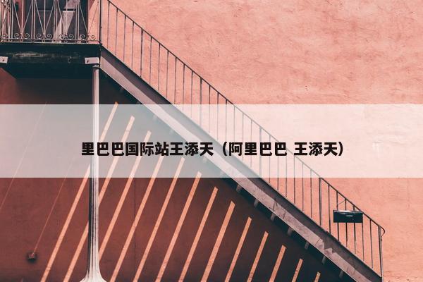 里巴巴国际站王添天（阿里巴巴 王添天）