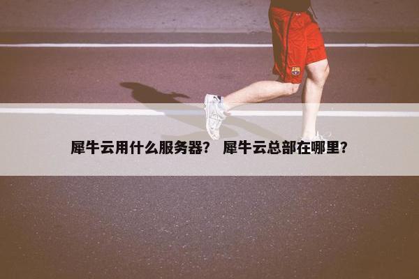 犀牛云用什么服务器? 犀牛云总部在哪里?