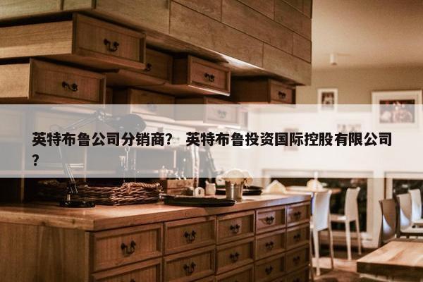 英特布鲁公司分销商？ 英特布鲁投资国际控股有限公司？