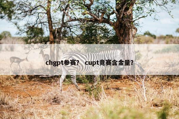 chgpt参赛？ cupt竞赛含金量？