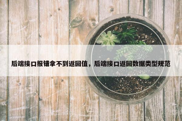 后端接口报错拿不到返回值，后端接口返回数据类型规范
