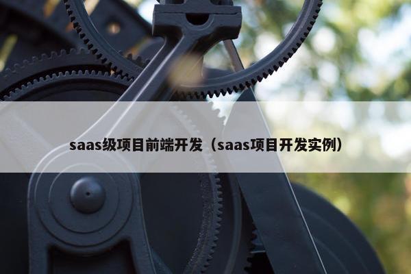 saas级项目前端开发（saas项目开发实例）
