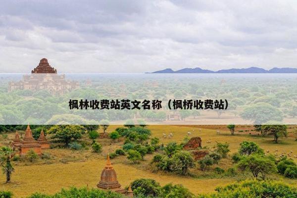 枫林收费站英文名称（枫桥收费站）