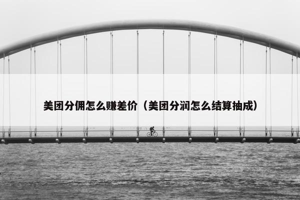 美团分佣怎么赚差价（美团分润怎么结算抽成）