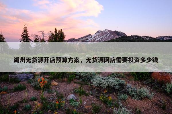 湖州无货源开店预算方案，无货源网店需要投资多少钱