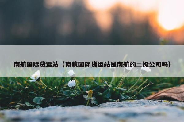南航国际货运站（南航国际货运站是南航的二级公司吗）