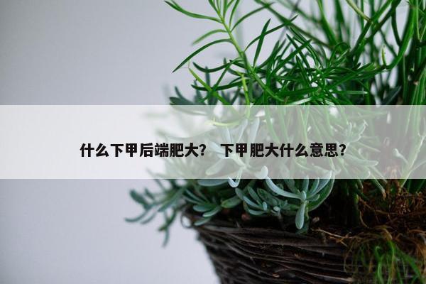 什么下甲后端肥大？ 下甲肥大什么意思？