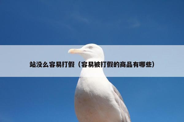 站没么容易打假（容易被打假的商品有哪些）