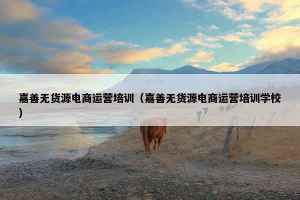 嘉善无货源电商运营培训(嘉善无货源电商运营培训学校) 嘉善无货源电商运营培训(嘉善无货源电商运营培训学校)