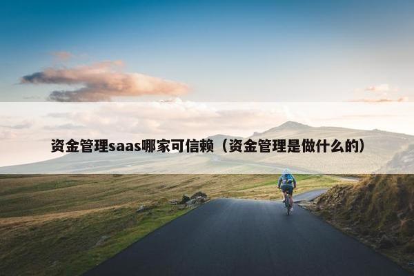 资金管理saas哪家可信赖（资金管理是做什么的）