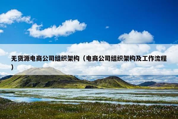 无货源电商公司组织架构(电商公司组织架构及工作流程) 无货源电商公司组织架构(电商公司组织架构及工作流程)