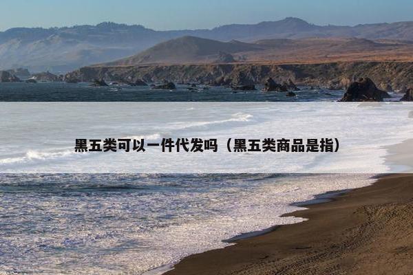 黑五类可以一件代发吗（黑五类商品是指）