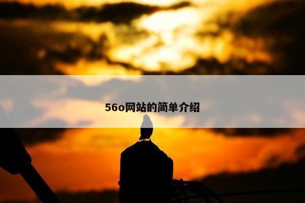 56o网站的简单介绍