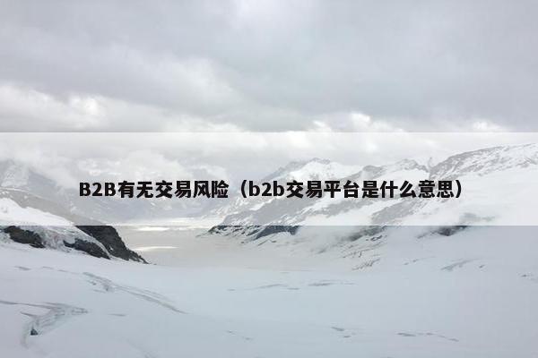 B2B有无交易风险（b2b交易平台是什么意思）