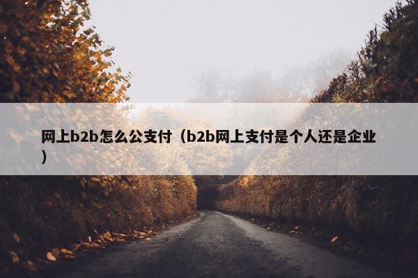 网上b2b怎么公支付（b2b网上支付是个人还是企业）