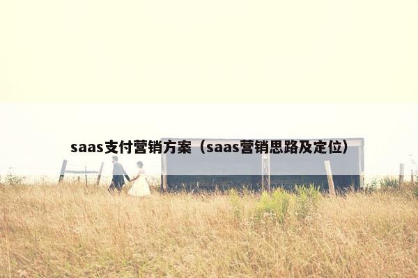 saas支付营销方案（saas营销思路及定位）