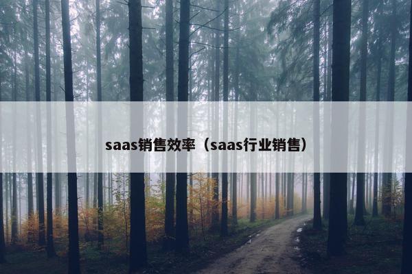 saas销售效率（saas行业销售）