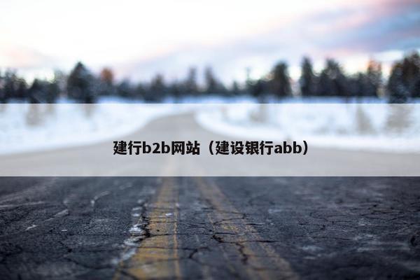 建行b2b网站（建设银行abb）