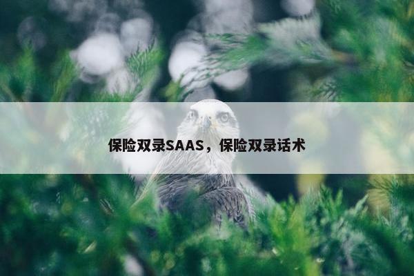 保险双录SAAS，保险双录话术