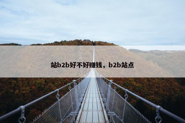 站b2b好不好赚钱,b2b站点 站b2b好不好赚钱,b2b站点