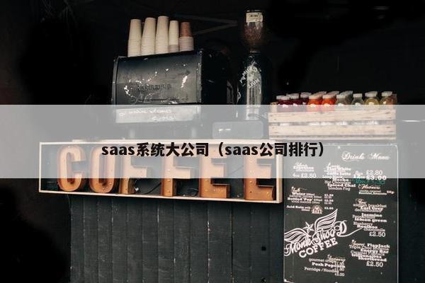 saas系统大公司（saas公司排行）